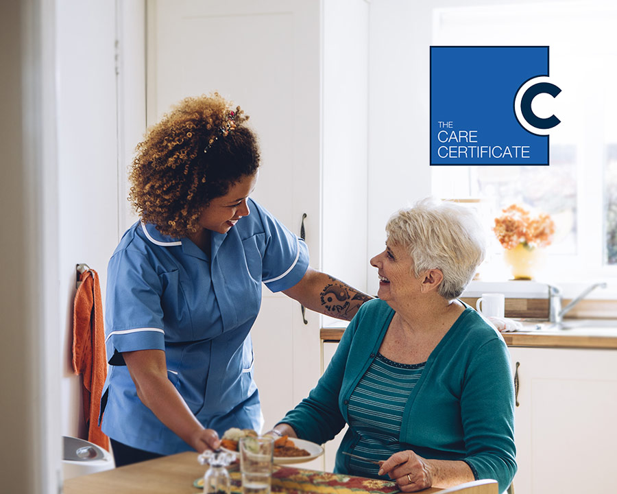 Care Certificate eLearning course - Grey Matter Learning